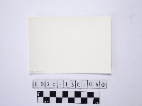 黃則修攝野柳地景藏品圖，第2張