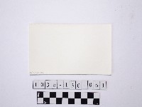 黃則修攝野柳地景藏品圖，第2張