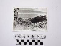 黃則修攝野柳地景藏品圖，第1張