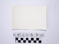 黃則修攝野柳地景藏品圖，第2張