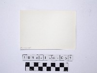 黃則修攝野柳地景藏品圖，第2張