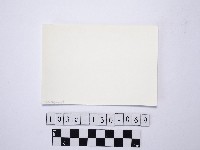 黃則修攝野柳地景藏品圖，第2張