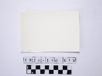 黃則修攝野柳地景藏品圖，第2張