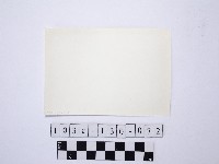 黃則修攝野柳地景藏品圖，第2張