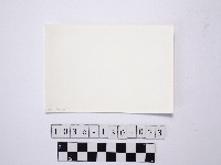 黃則修攝野柳地景藏品圖，第2張