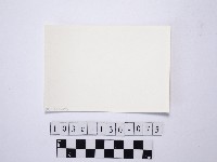 黃則修攝野柳地景藏品圖，第2張