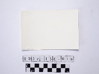 黃則修攝野柳地景藏品圖，第2張