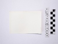 黃則修攝野柳地景藏品圖，第2張