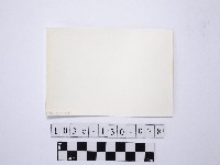 黃則修攝野柳地景藏品圖，第2張