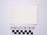 黃則修攝野柳地景藏品圖，第2張