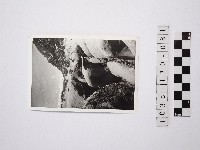 黃則修攝野柳地景藏品圖，第1張