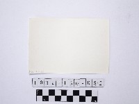 黃則修攝野柳地景藏品圖，第2張