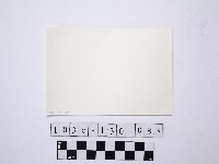 黃則修攝野柳地景藏品圖，第2張