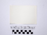 黃則修攝野柳地景藏品圖，第2張