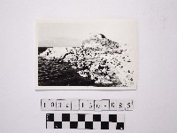 黃則修攝野柳地景藏品圖，第1張