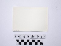 黃則修攝野柳地景藏品圖，第2張