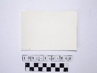 黃則修攝野柳地景藏品圖，第2張