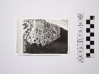 黃則修攝野柳地景藏品圖，第1張