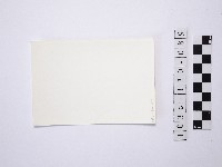 黃則修攝野柳地景藏品圖，第2張