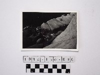 黃則修攝野柳地景藏品圖，第1張