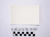 黃則修攝野柳地景藏品圖，第2張