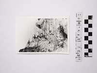 黃則修攝野柳地景藏品圖，第1張