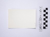 黃則修攝野柳地景藏品圖，第2張