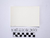 黃則修攝野柳地景藏品圖，第2張