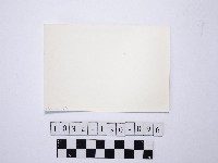 黃則修攝野柳地景藏品圖，第2張