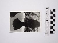 黃則修攝野柳地景藏品圖，第1張