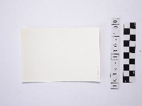 黃則修攝野柳地景藏品圖，第2張