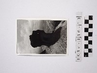 黃則修攝野柳地景藏品圖，第1張