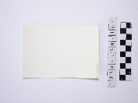 黃則修攝野柳地景藏品圖，第2張