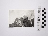 黃則修攝野柳地景藏品圖，第1張