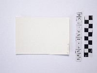 黃則修攝野柳地景藏品圖，第2張