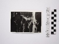 黃則修攝野柳地景藏品圖，第1張