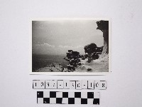 黃則修攝野柳地景藏品圖，第1張