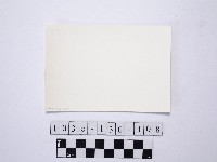 黃則修攝野柳地景藏品圖，第2張