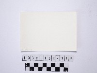 黃則修攝野柳地景藏品圖，第2張