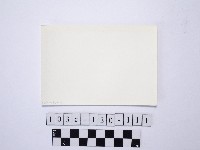 黃則修攝野柳地景藏品圖，第2張