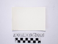 黃則修攝野柳地景藏品圖，第2張