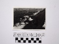 黃則修攝野柳地景藏品圖，第1張