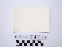 黃則修攝野柳地景藏品圖，第2張