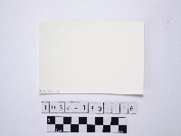 黃則修攝野柳地景藏品圖，第2張