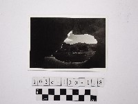 黃則修攝野柳地景藏品圖，第1張