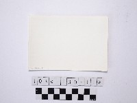 黃則修攝野柳地景藏品圖，第2張