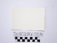 黃則修攝野柳地景藏品圖，第2張