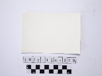 野柳地形藏品圖，第2張