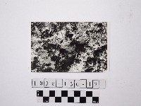 野柳地形藏品圖，第1張