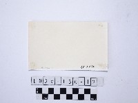 野柳地形藏品圖，第2張